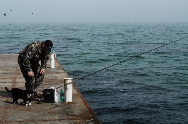 fisherman with fishing rod fishing in the ocean with his black and white pet cat
