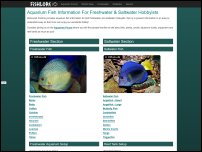 fishlore.com