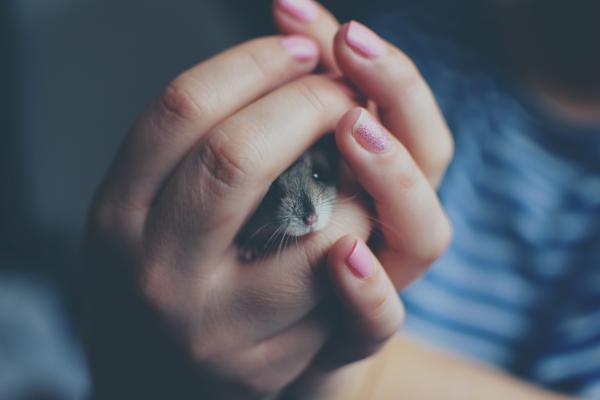 woman holding hamster