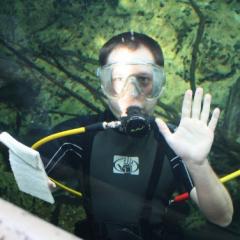 Toby Sanders underwater diving