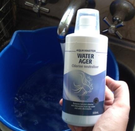 container of aquarium water ager